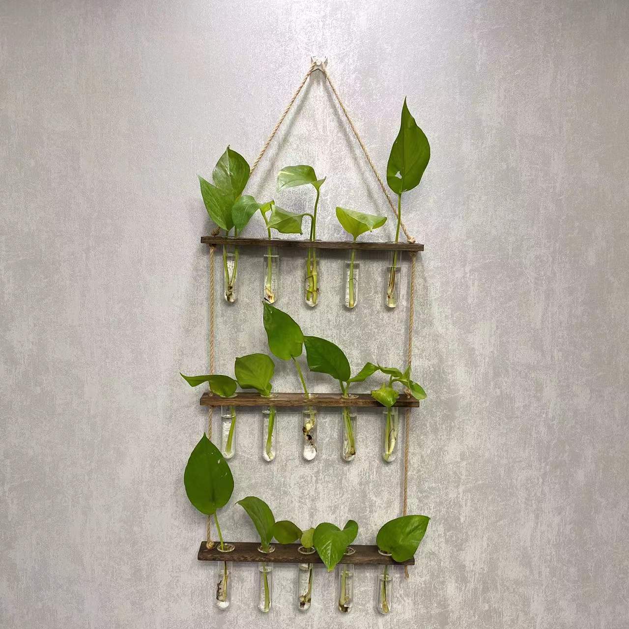 Creative Hydroponics Wall Hanging Vase, propagation Vase Test Tube Vase