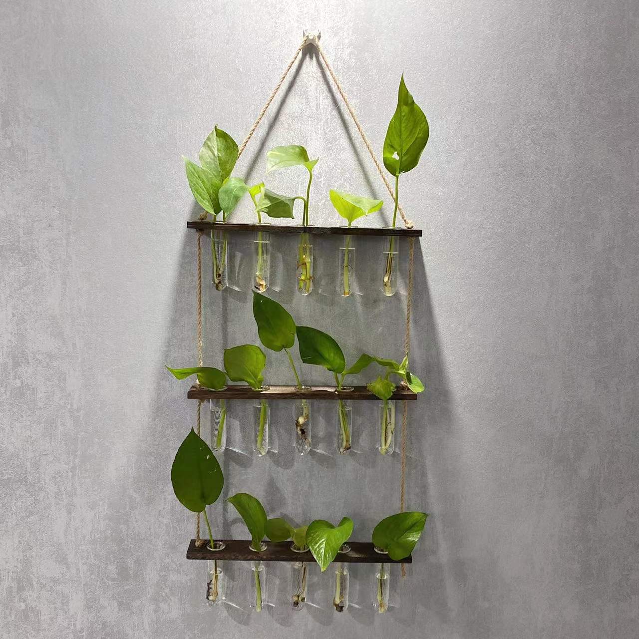 Creative Hydroponics Wall Hanging Vase, propagation Vase Test Tube Vase