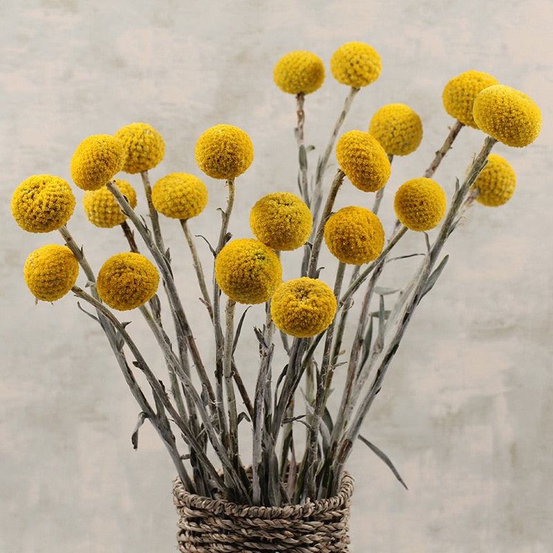 Golden Ball Dried Flower Home Bouquet With Flowers