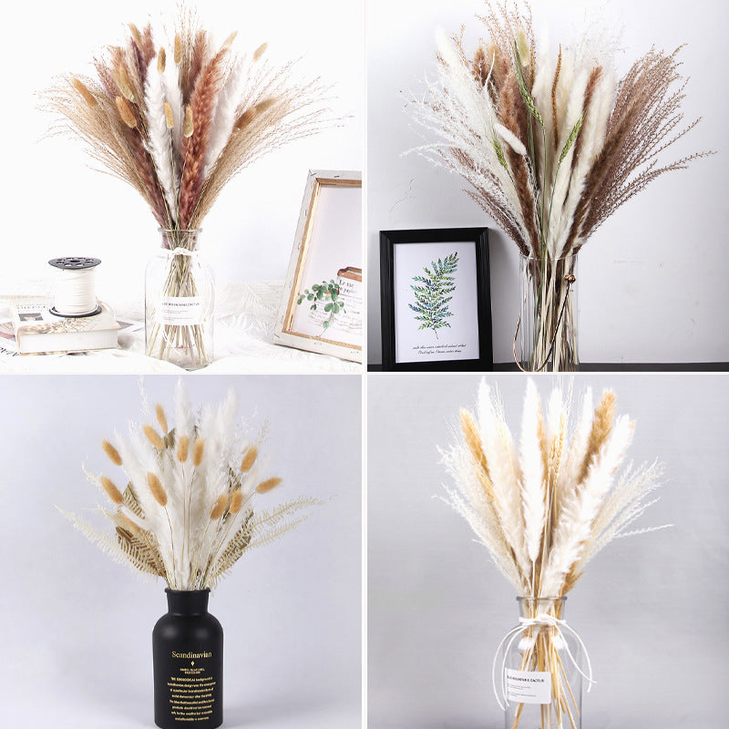 Yunnan Dried Flowers Bouquet Small Reed Horsetail Whisk Dried Flower Mix And Match