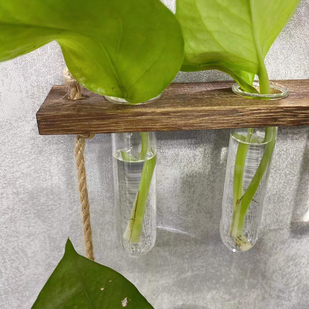 Creative Hydroponics Wall Hanging Vase, propagation Vase Test Tube Vase