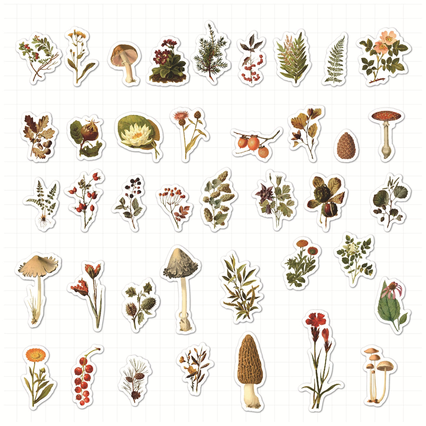 Washi Paper Material Sticker Creative Retro Plant Flower