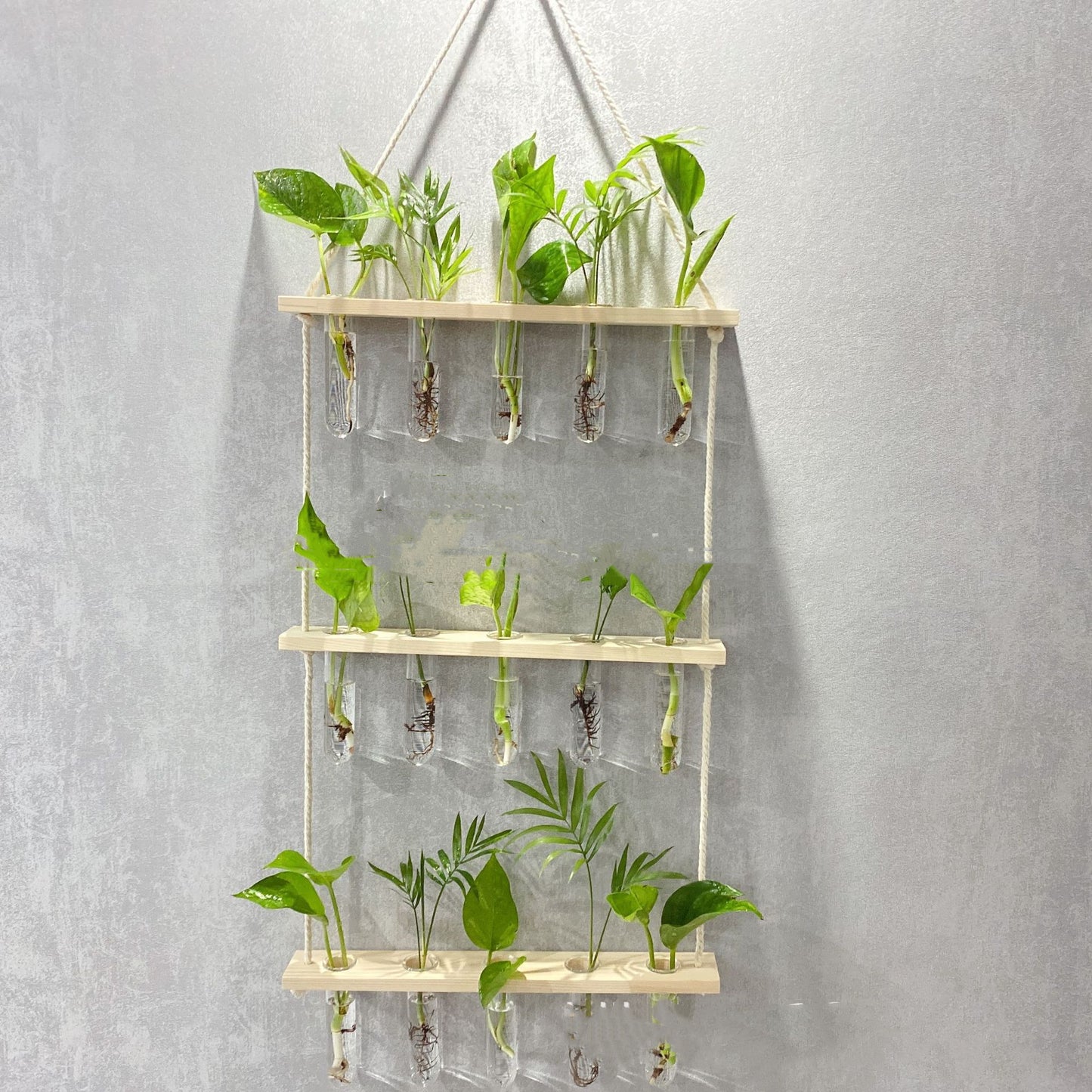 Creative Hydroponics Wall Hanging Vase, propagation Vase Test Tube Vase